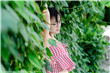 郑斯仁